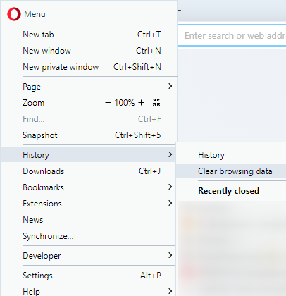 Press on the Opera icon, put your mouse over the «History» field and the other field will appear. Press the «Clear browsing data» button