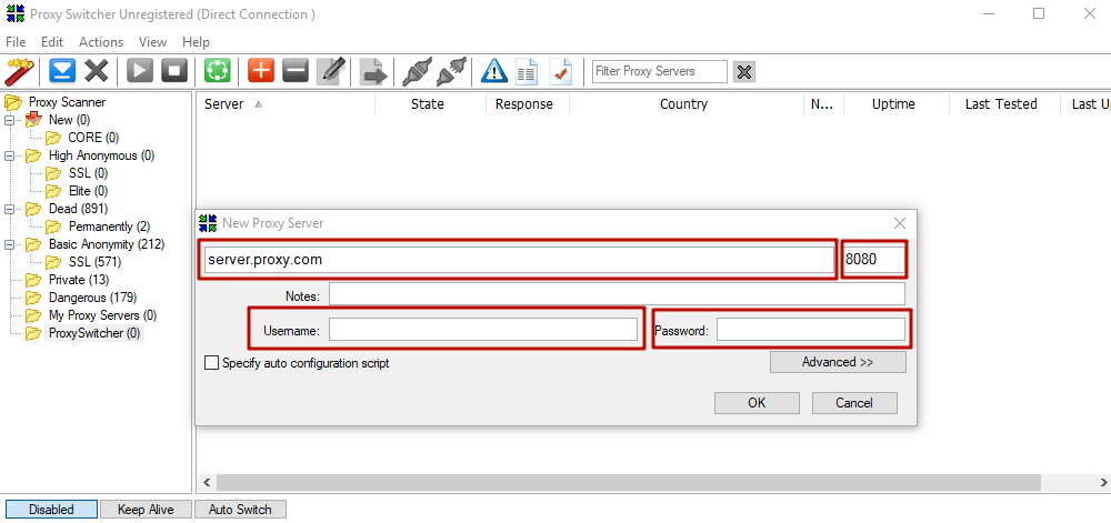 IP address and port of a proxy server