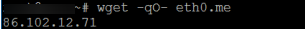 Use command: wget -q0 - eth0.me or wget google.com