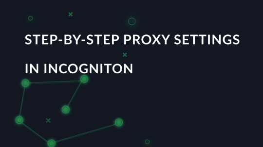 Step-by-step proxy settings in Incogniton